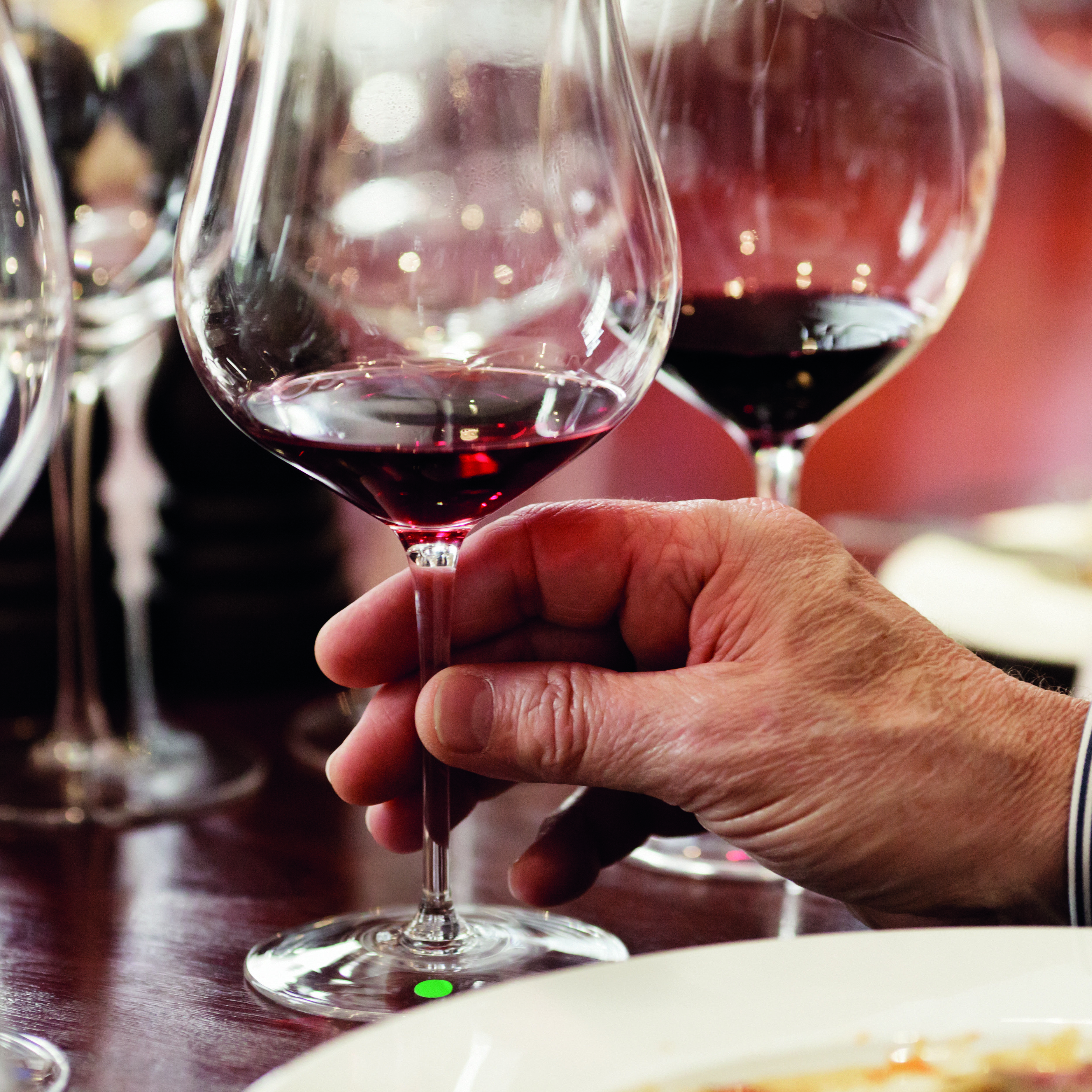 54928_One-day-Burgundy-School_TS2365_01