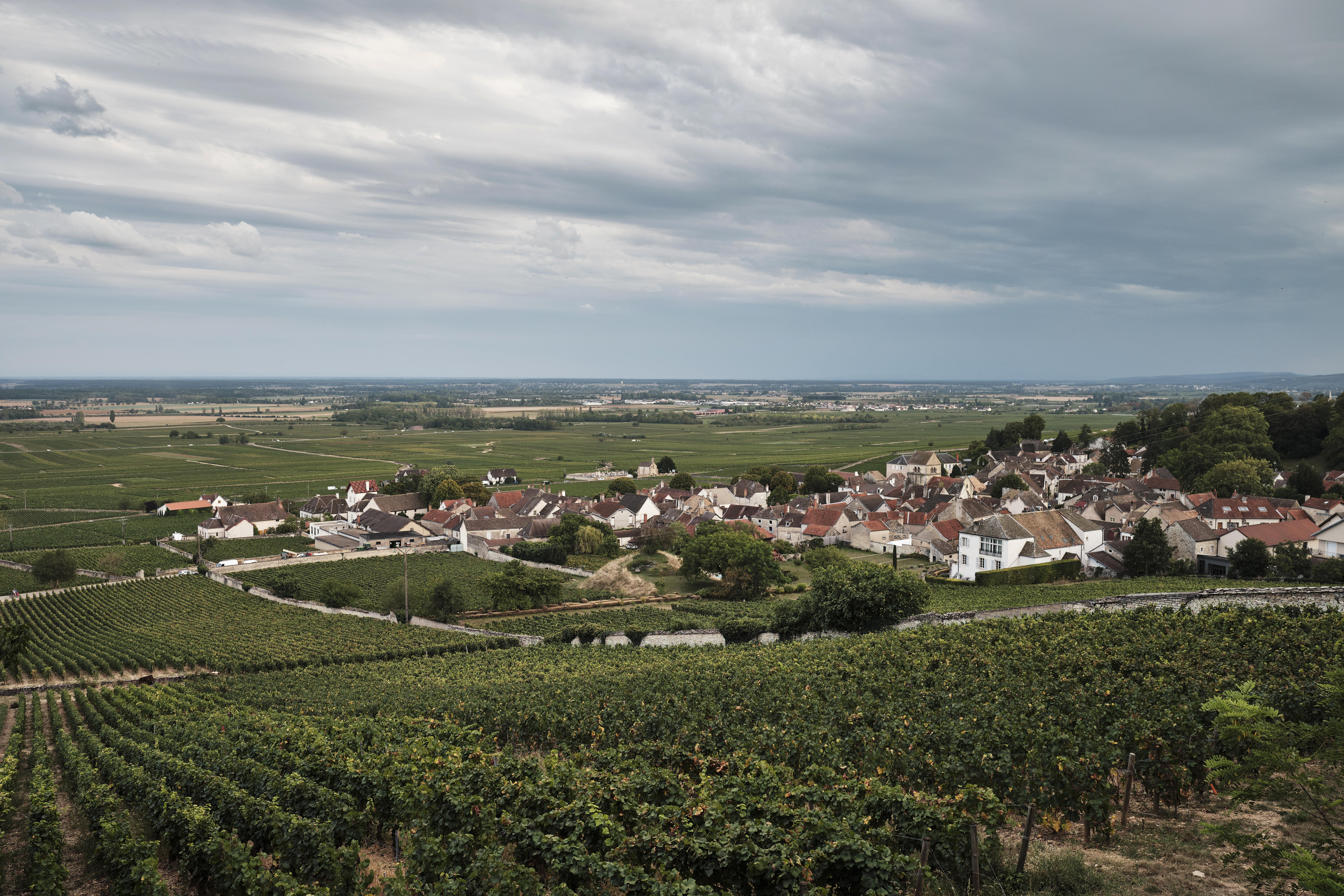 90068001392_Volnay-regional_Burgundy-2023_0000_01