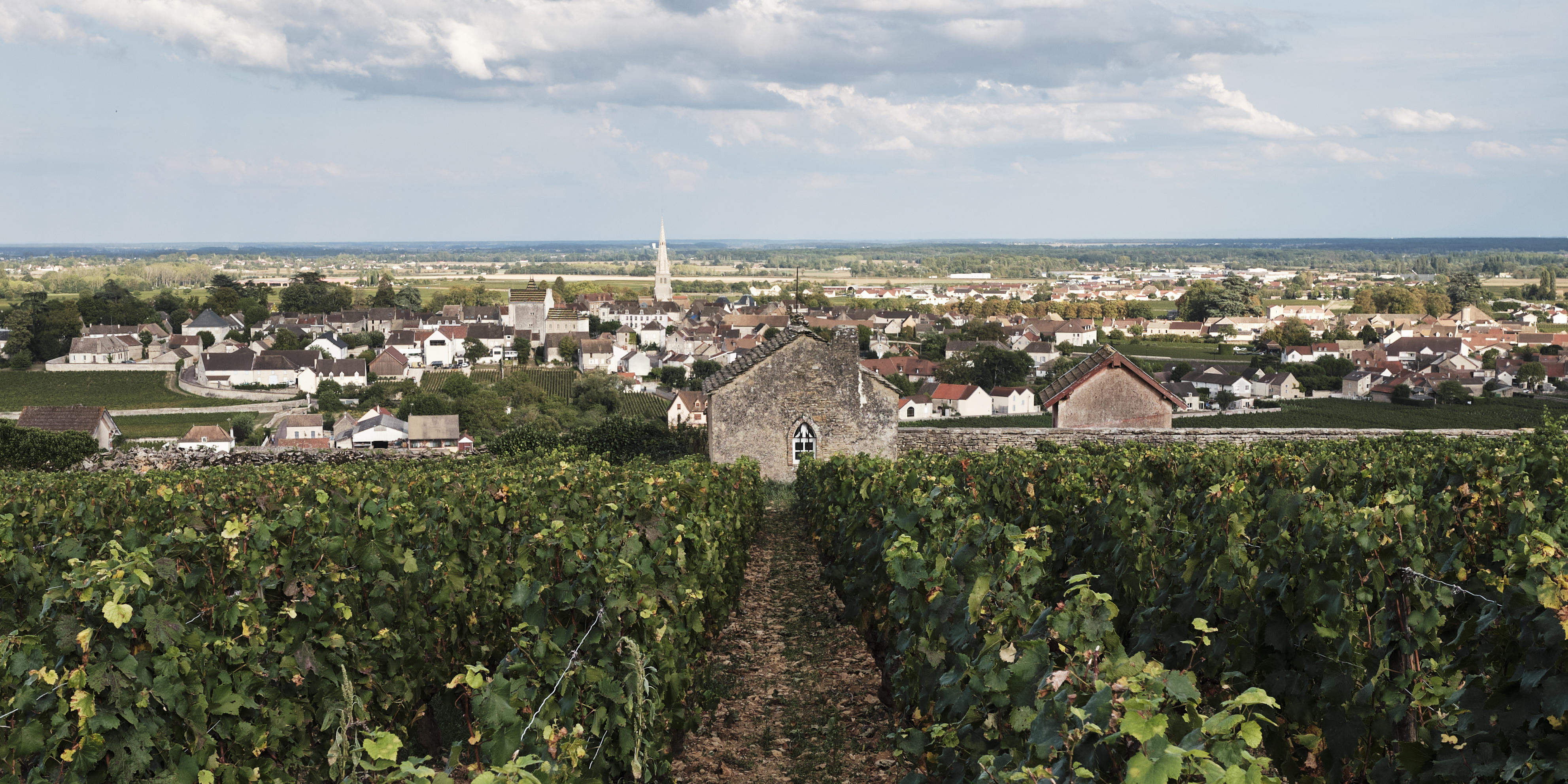 90068001476_Meurasult-village-and-vines_Burgundy-2023-Jason-Lowe_0000_01
