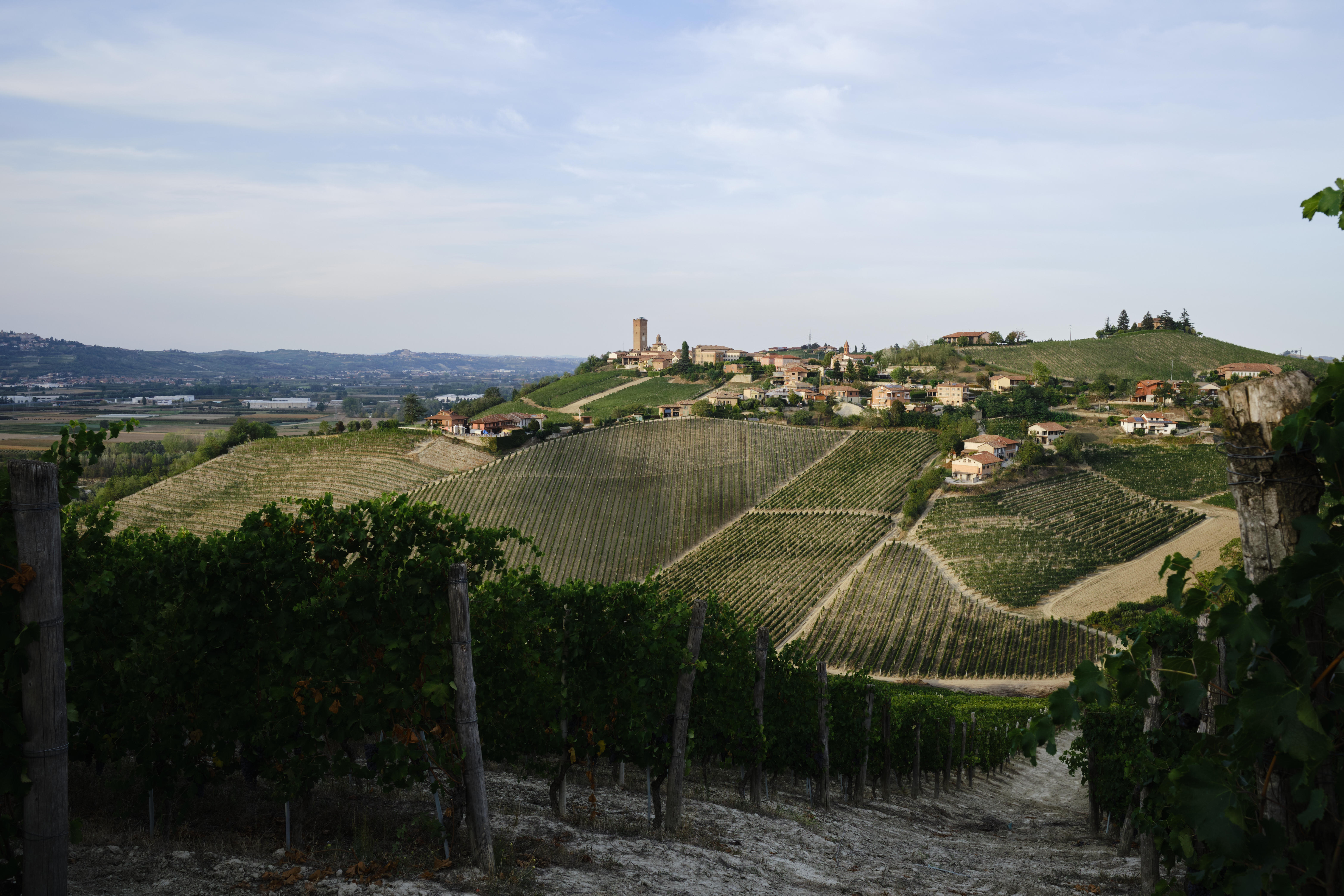 Barbaresco-7_Italy-2022_Jason-Lowe