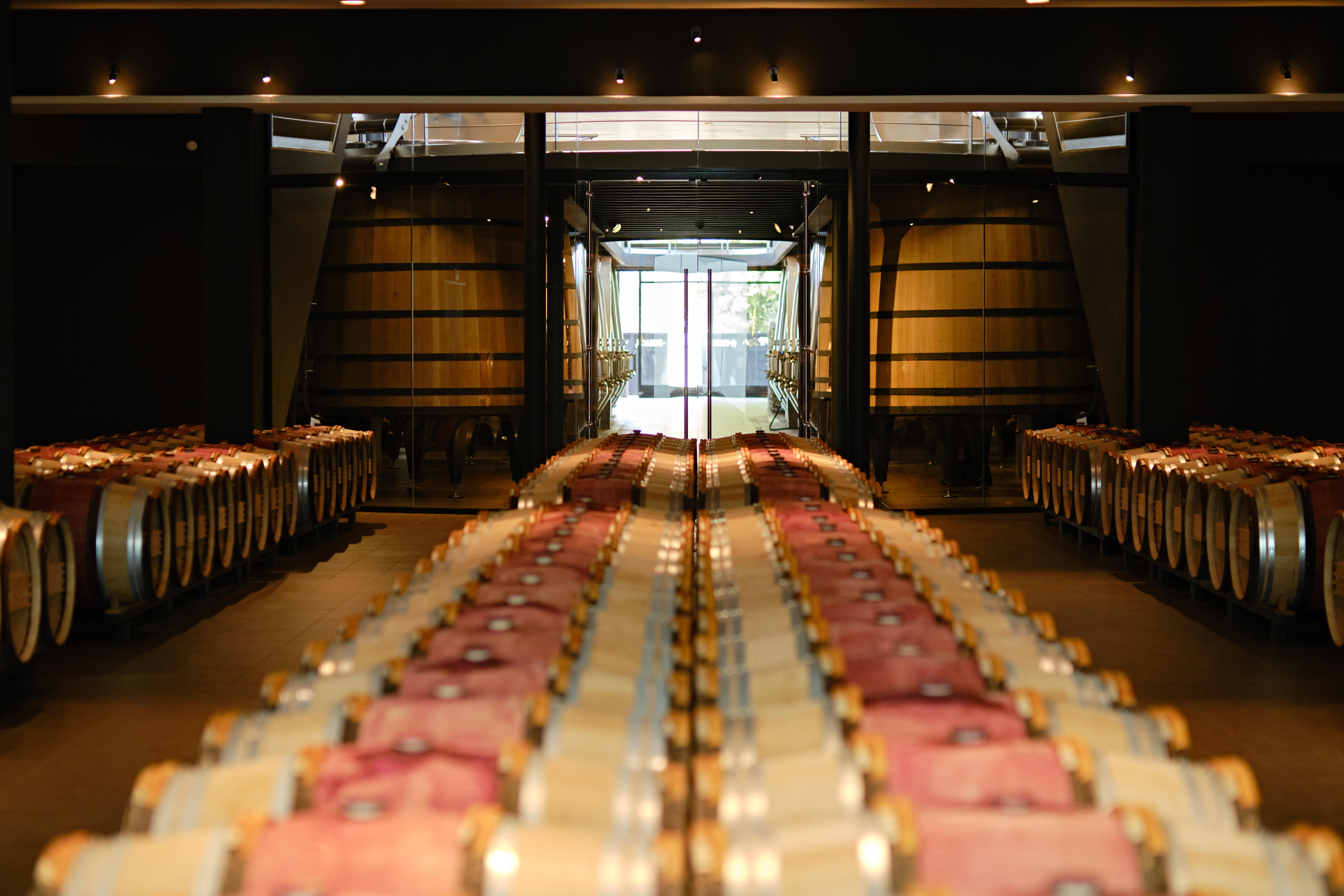 Barrels-and-vats-room_Ch-Figeac_St-Emilion_Bordeaux-2023_Jason-Lowe