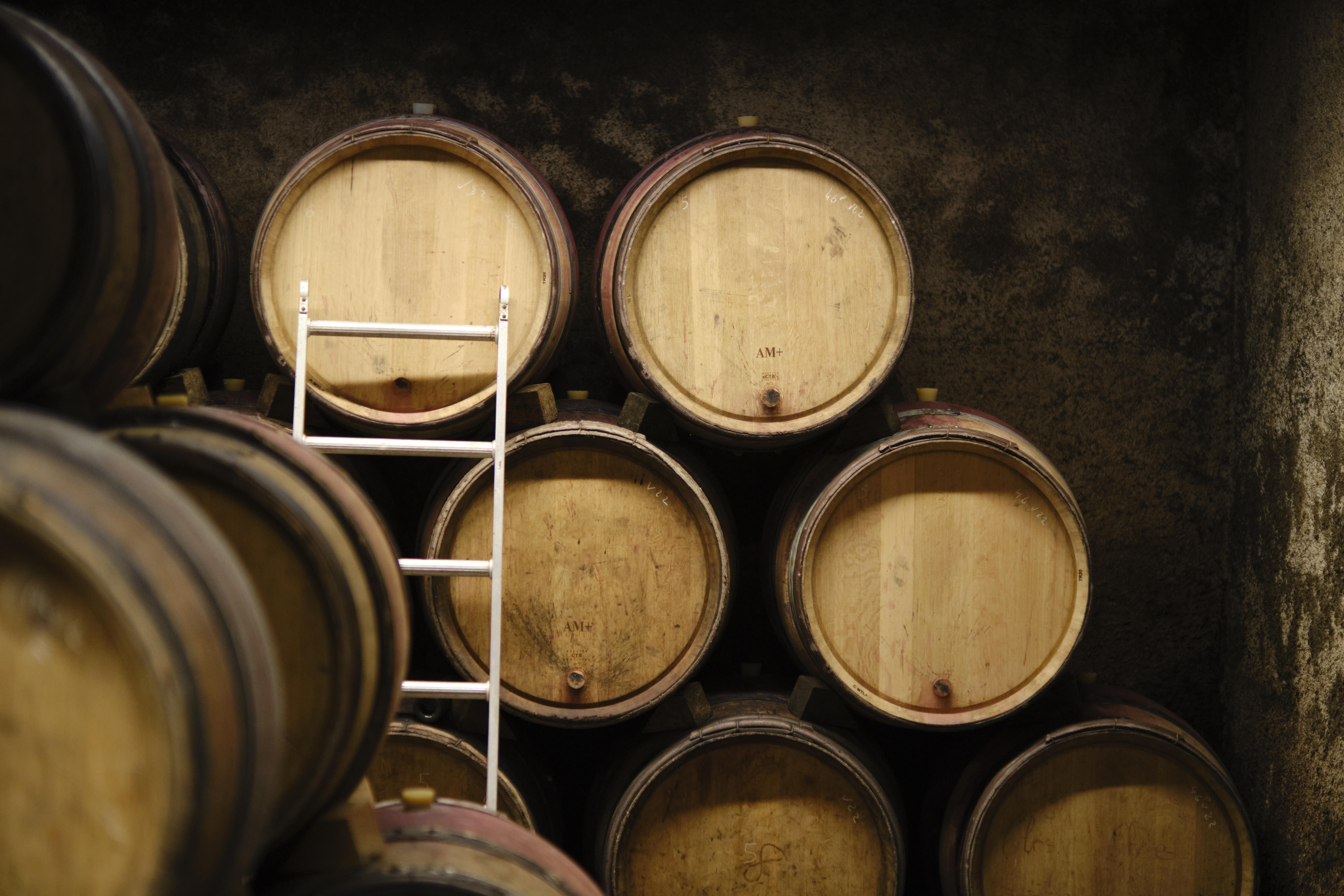 Barrels-in-celar_Domaine-Michel-Lafarge_Volnay_Burgundy-2022_Jason-Lowe