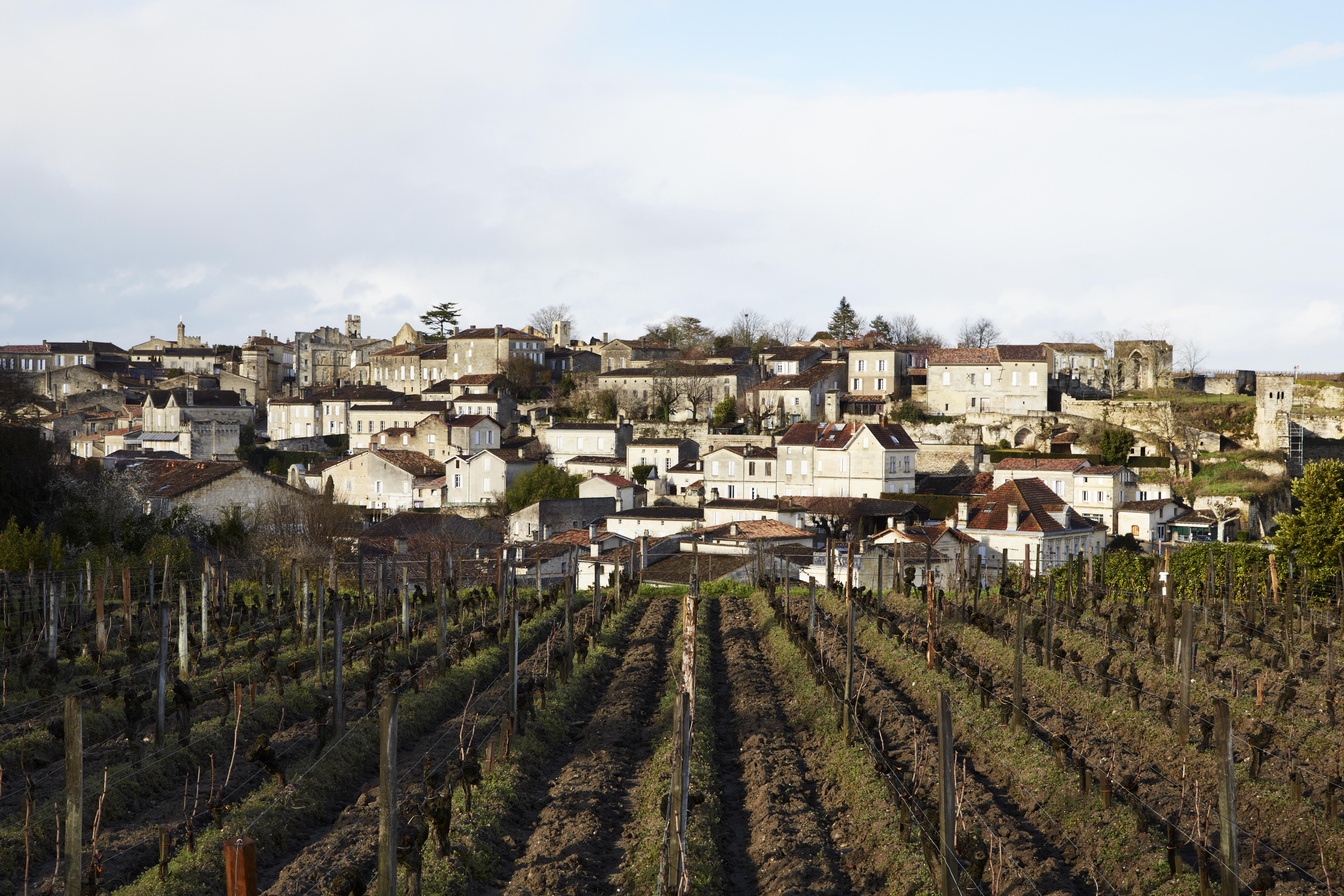 Bordeaux-2015_Jason-Lowe_93