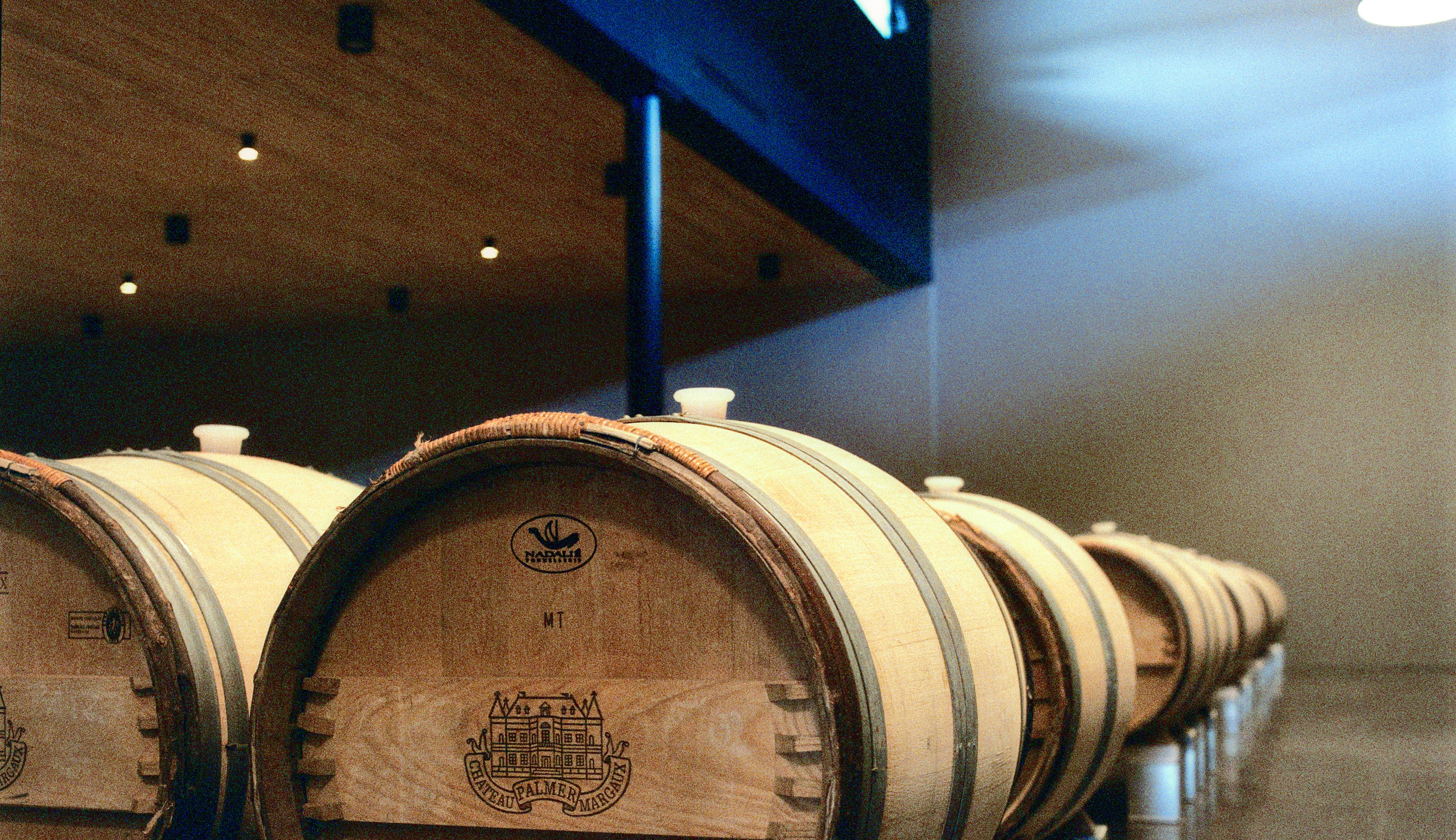 Bordeaux-2015_Jason-Lowe_Palmer_01