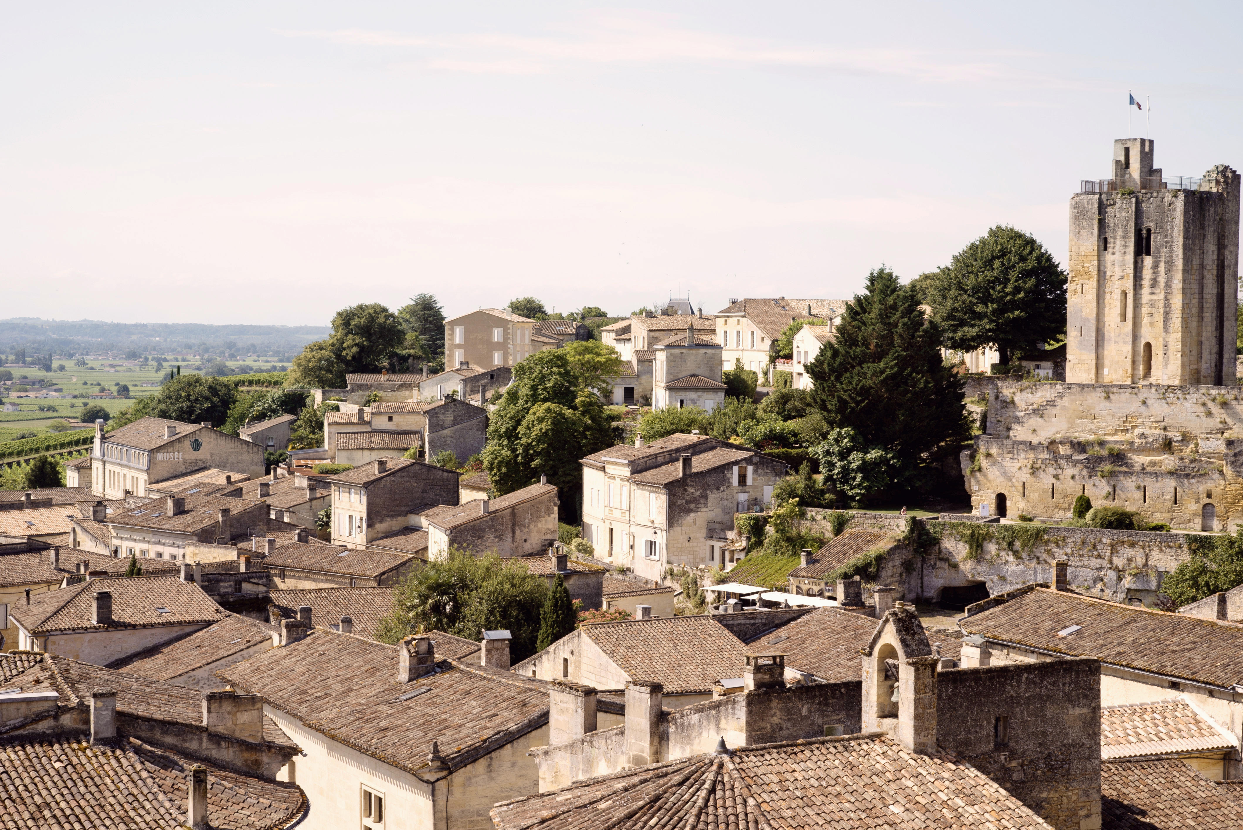 Bordeaux-2019_St-Emilion_Jason-Lowe_03