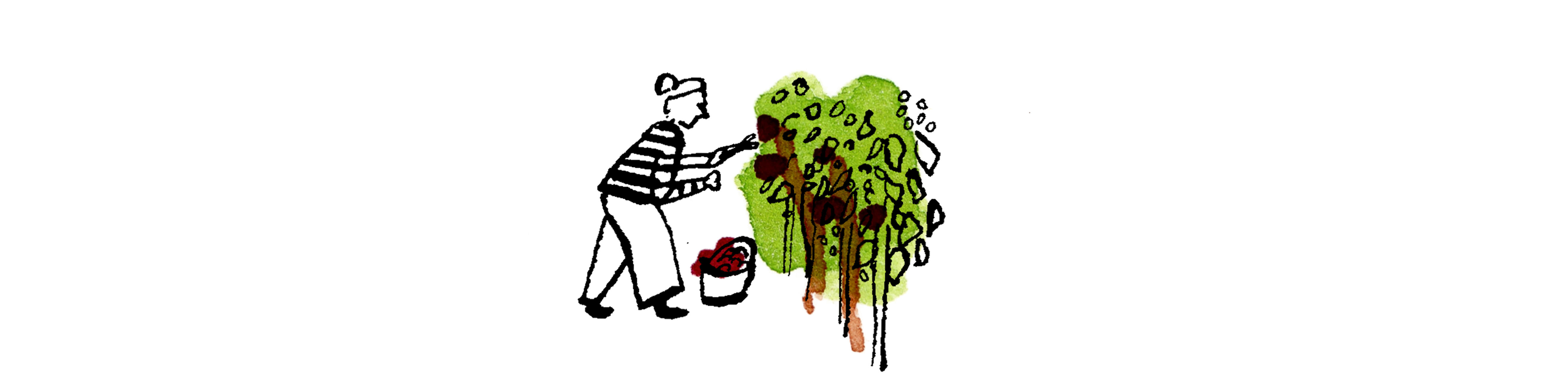 Bordeaux-vintage-report-banner-2025-ep