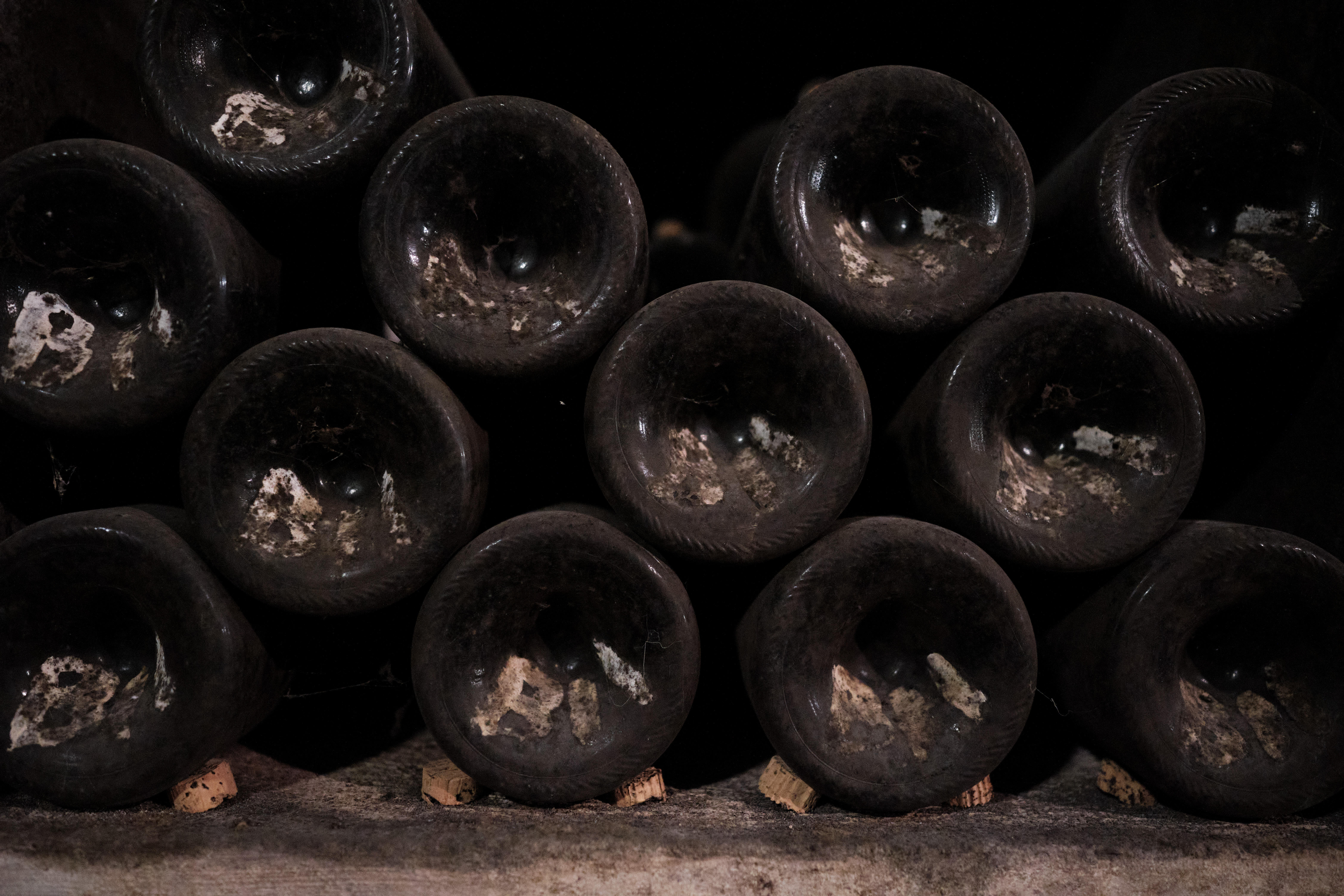 Bottles-in-cellar-2_Domaine-Jean-Grivot_Burgundy-2021_Jason-Lowe_1