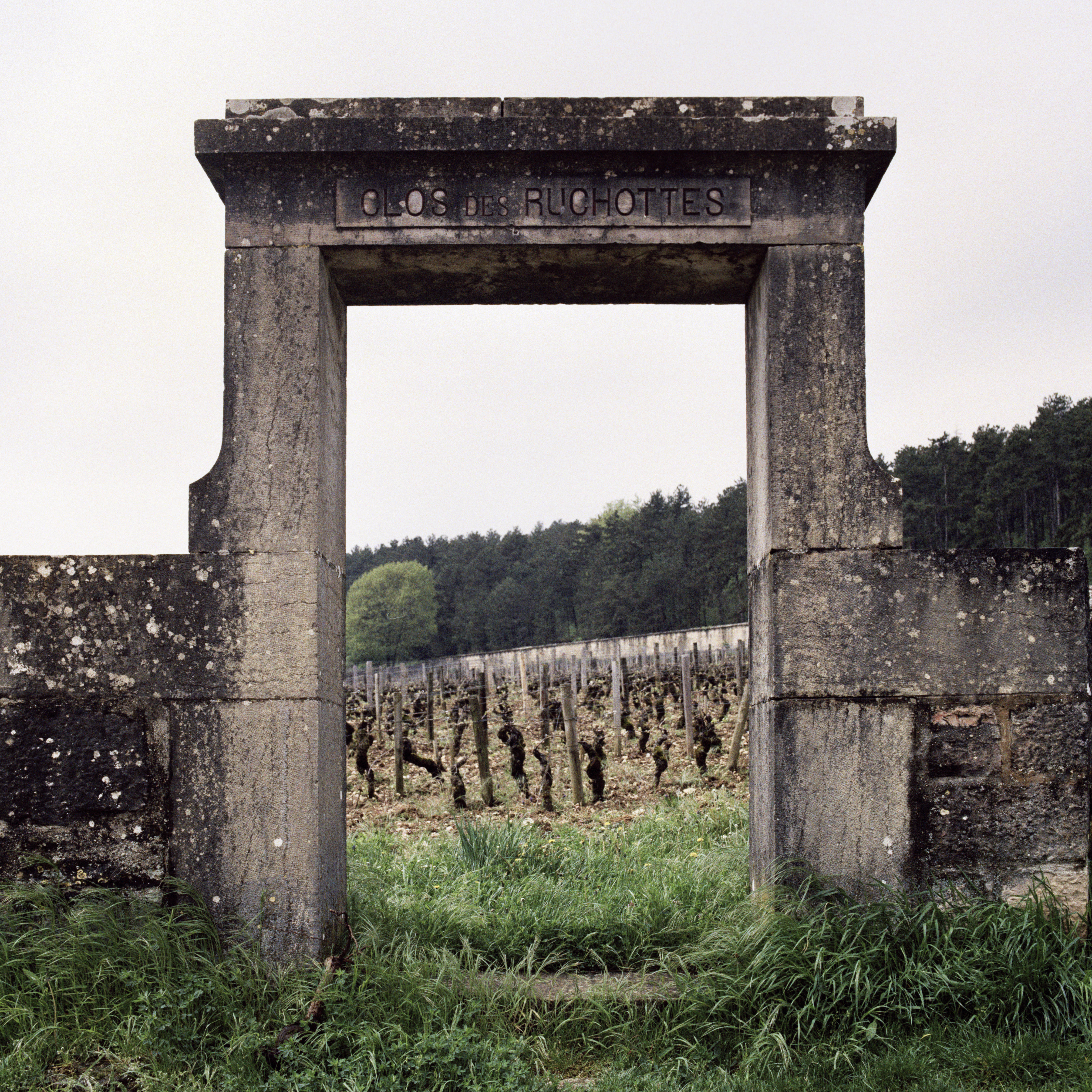 Burgundy-2013_Jason-Lowe_Gevrey-Chambertin_06
