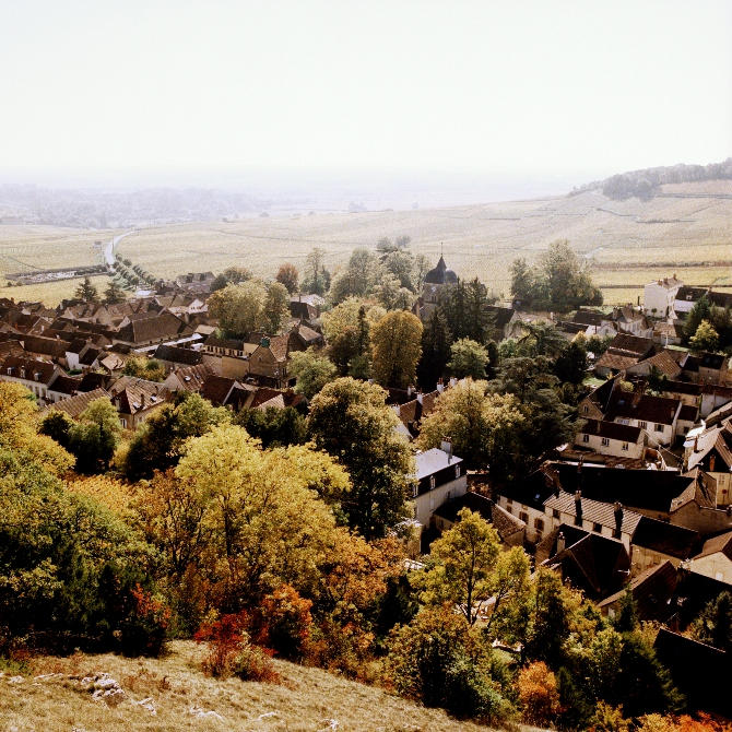 Burgundy-2017_Jason-Lowe_003-1