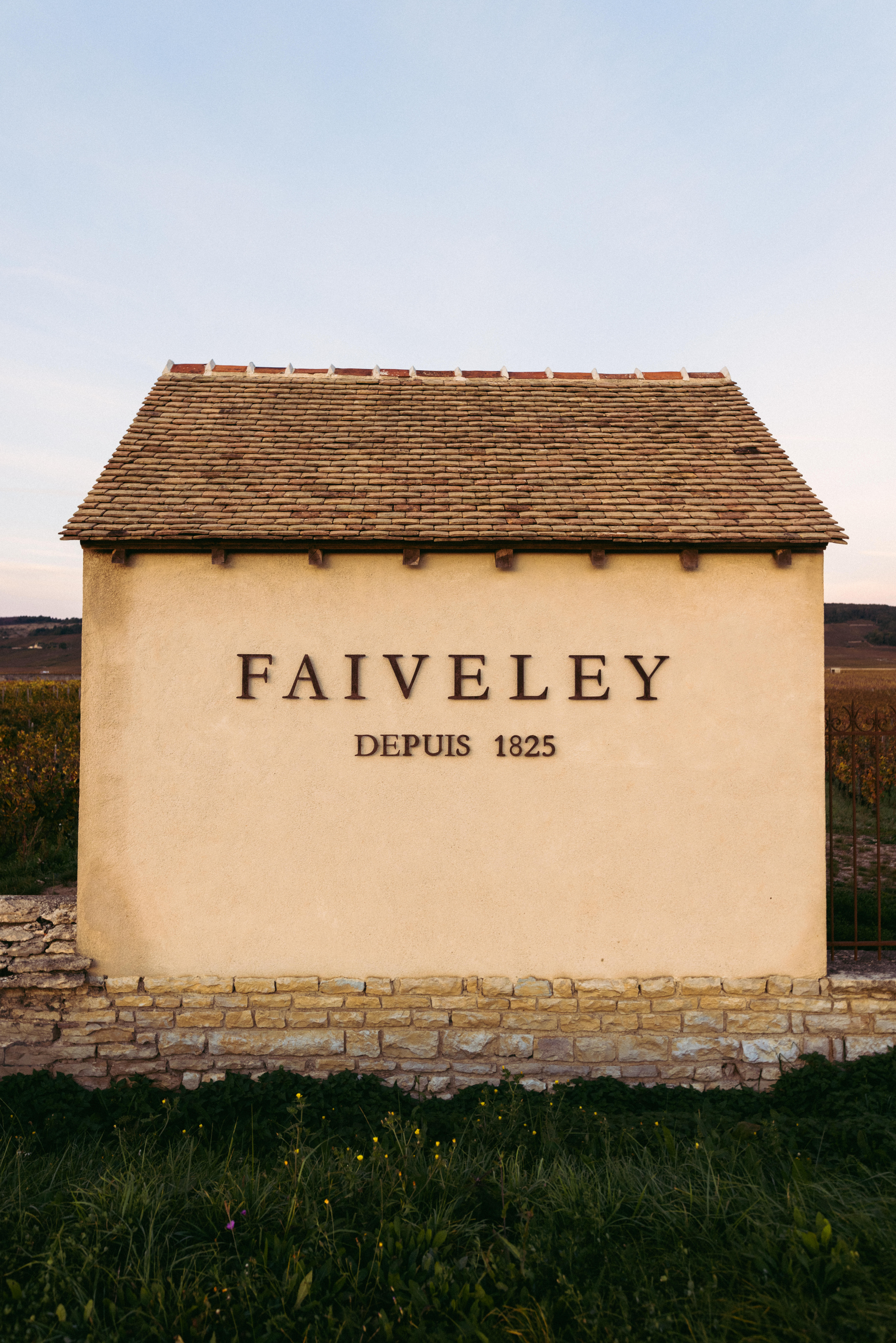 Burgundy-2023-Vougeot-Faiveley-1
