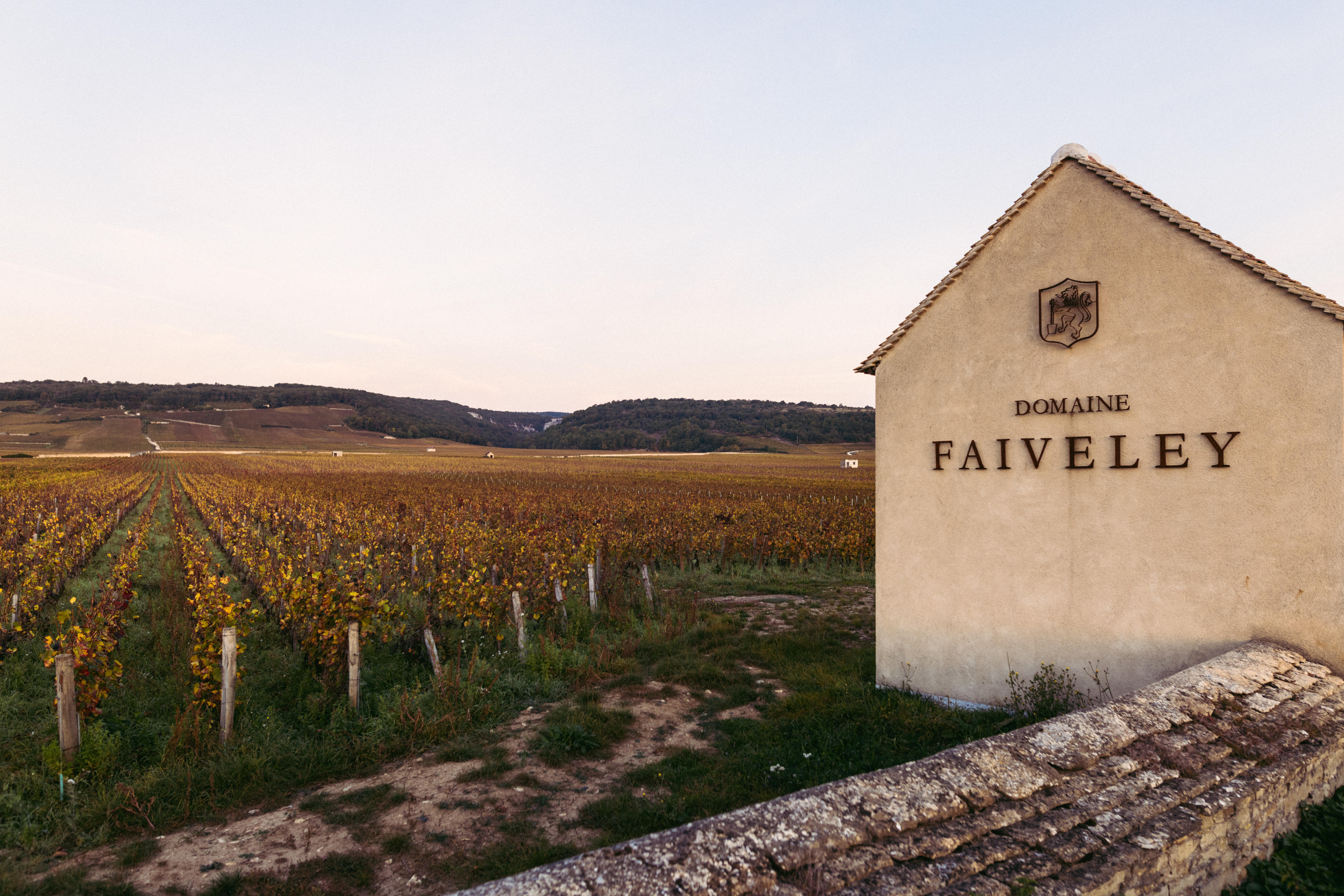 Burgundy-2023-Vougeot-Faiveley-3