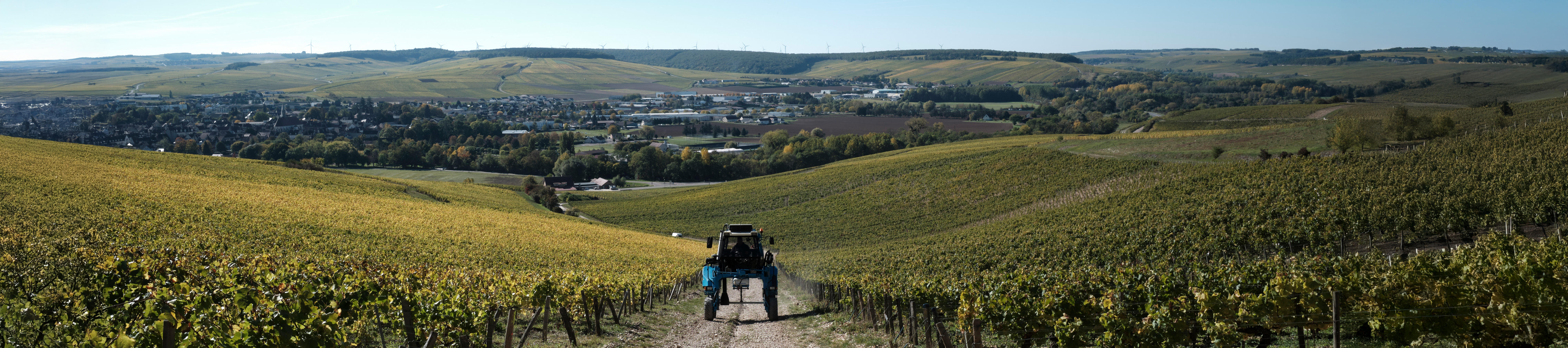 Burgundy-chablis-banner