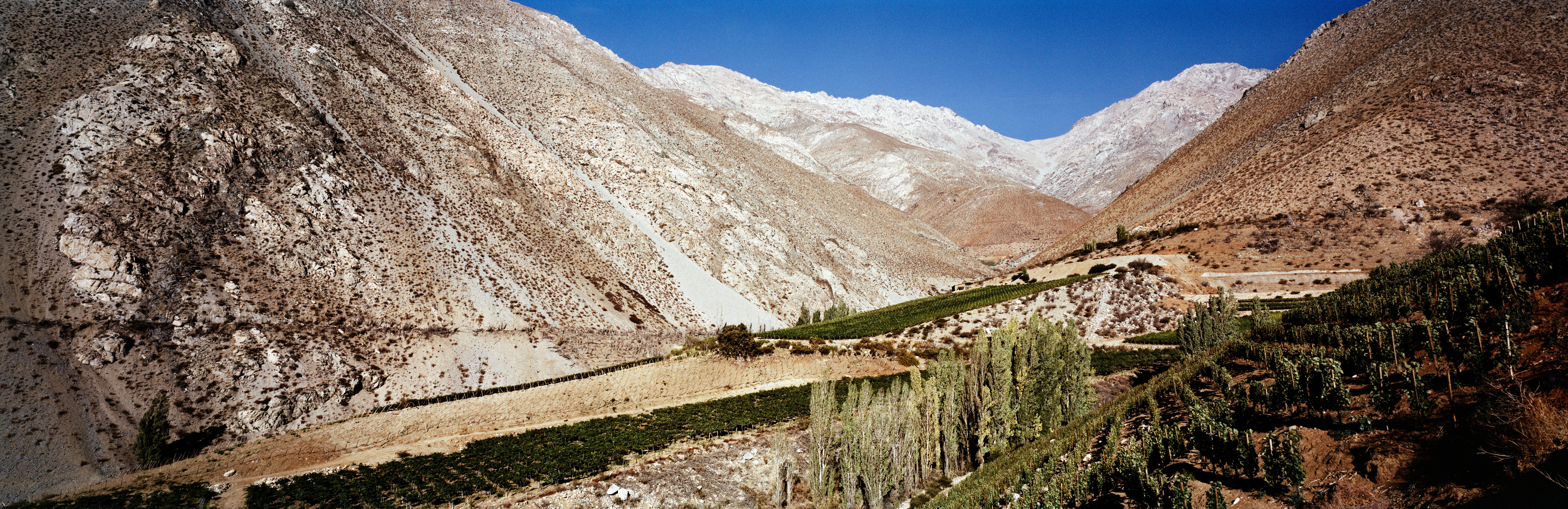 Chile-2015_Jason-Lowe_Alcohuaz_01