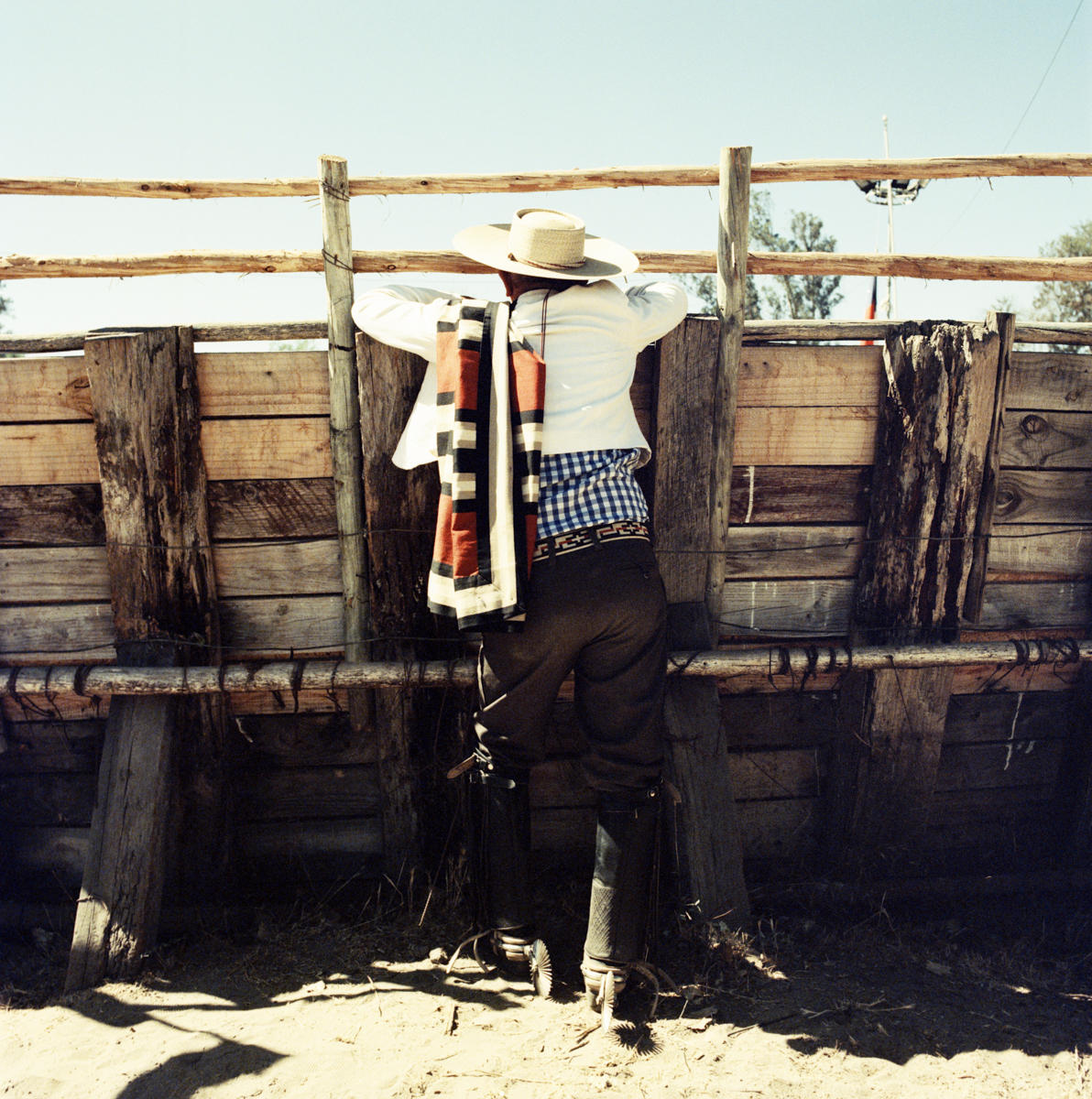 Chile-2015_Jason-Lowe_Montsecano