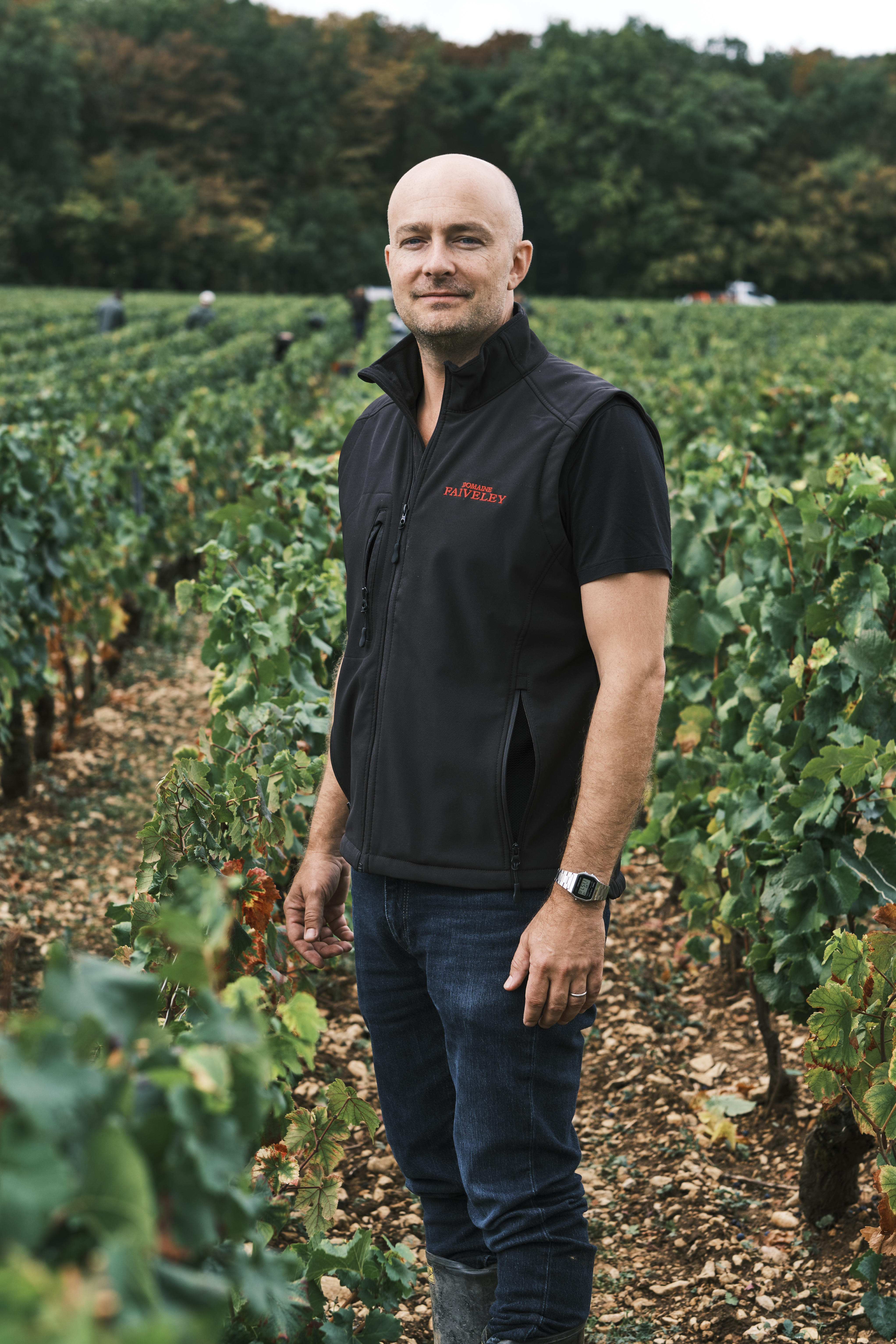 Erwan-in-vines_Domaine-Faiveley_Nuits-St-Georges1_Burgundy-2023_Jason-Lowe