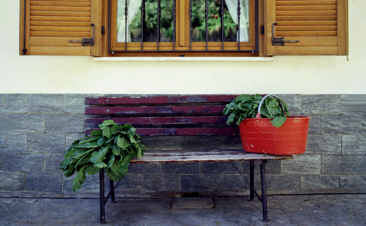 Italy-2014-Piedmont_Jason-Lowe_79-barol0-villages-duo