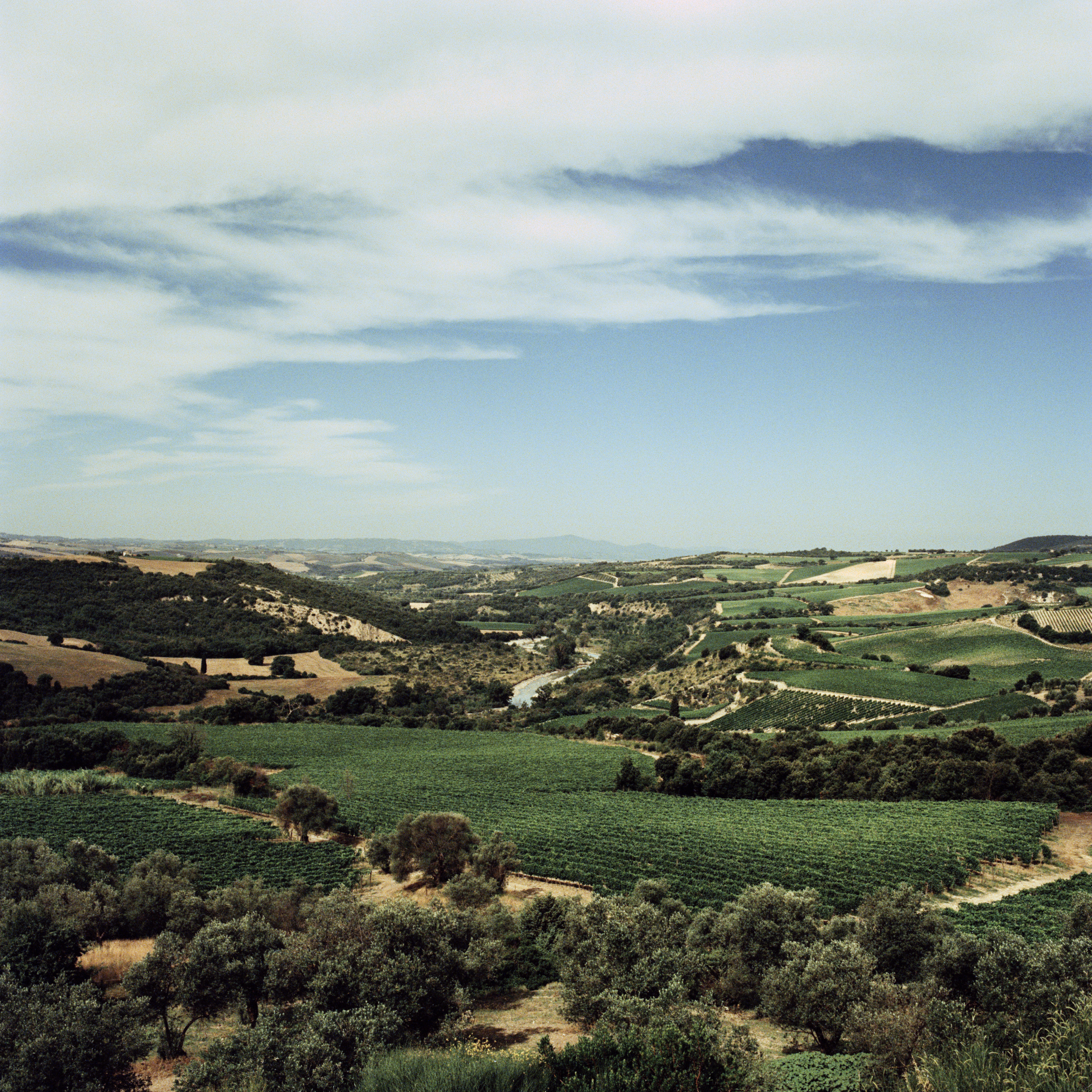 Italy-2014-Tuscany_Jason-Lowe_20