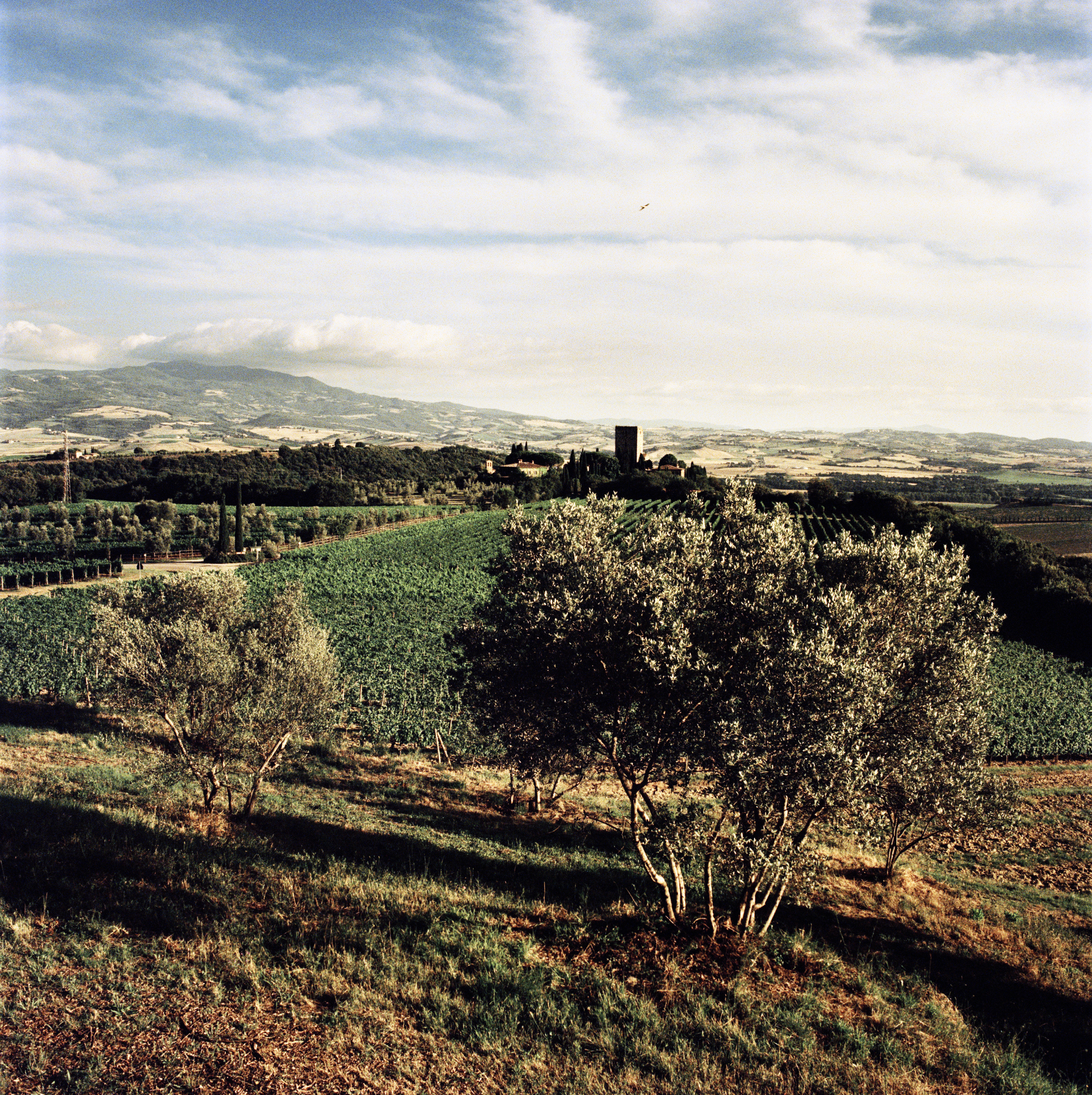 Italy-2015-Tuscany_Jason-Lowe_04