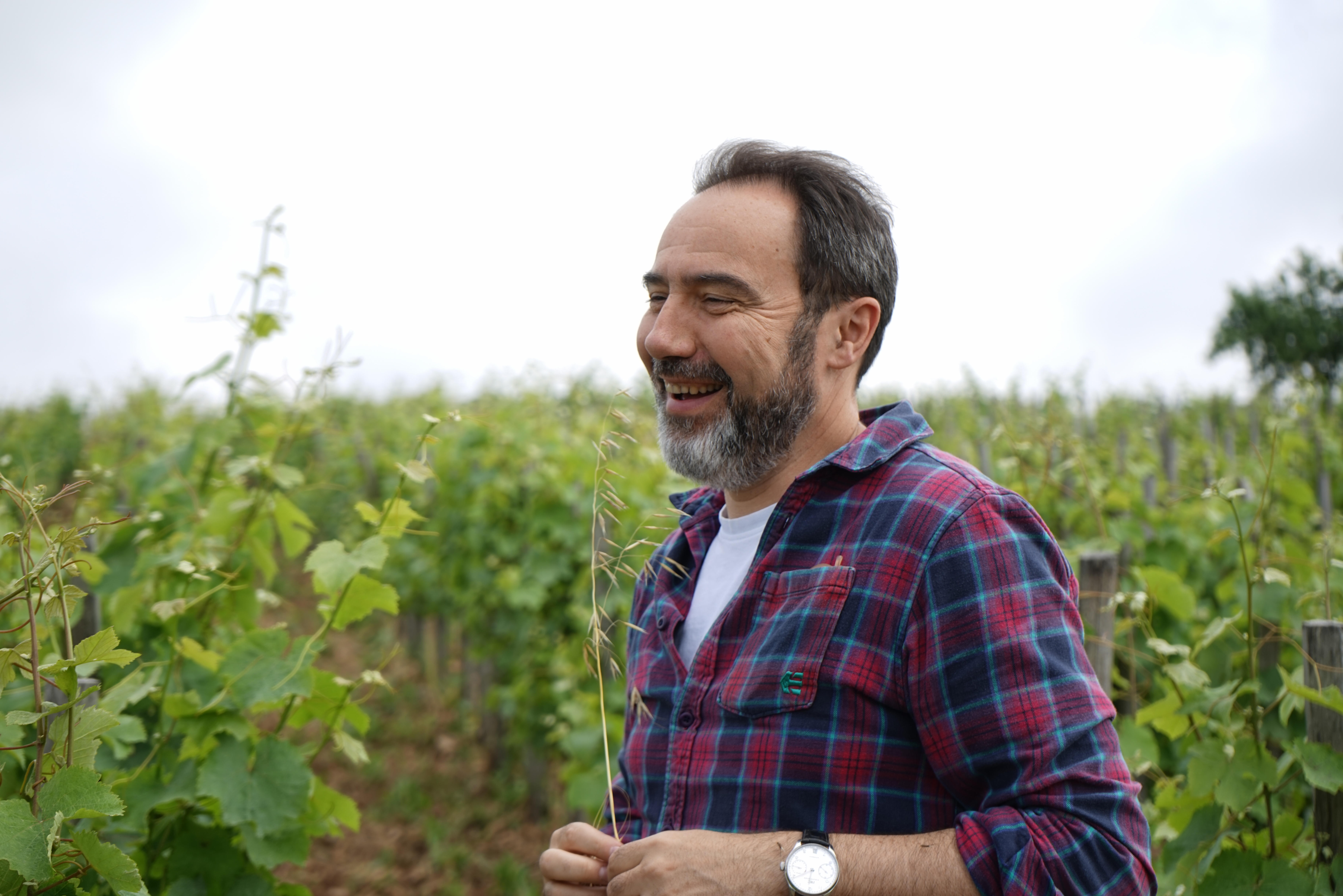 Ivan-Massonnat-in-vines-at-Domaine-Belargus_Loire-2024_Chris-Hanssen