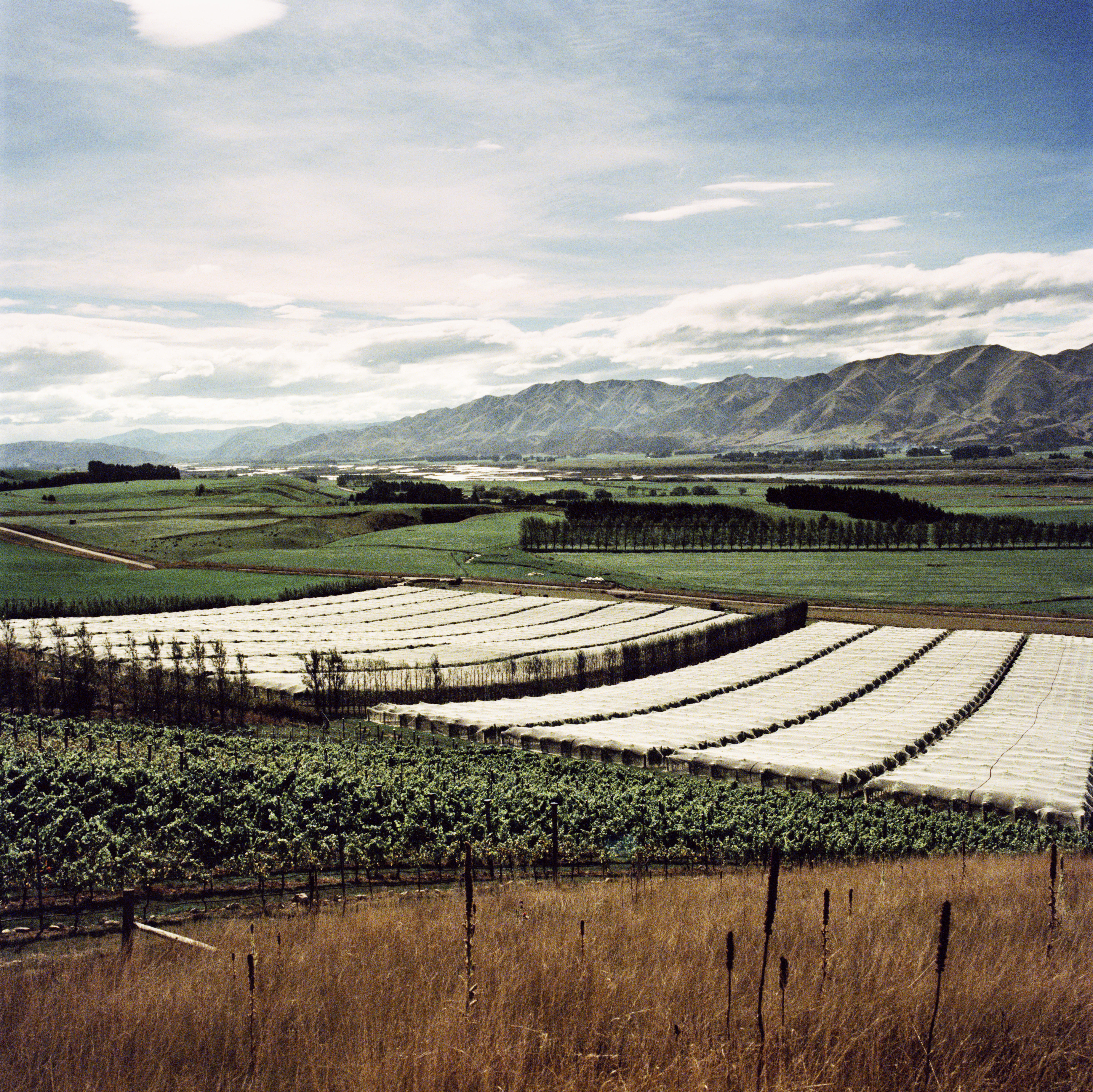 New-Zealand_Jason-Lowe_153