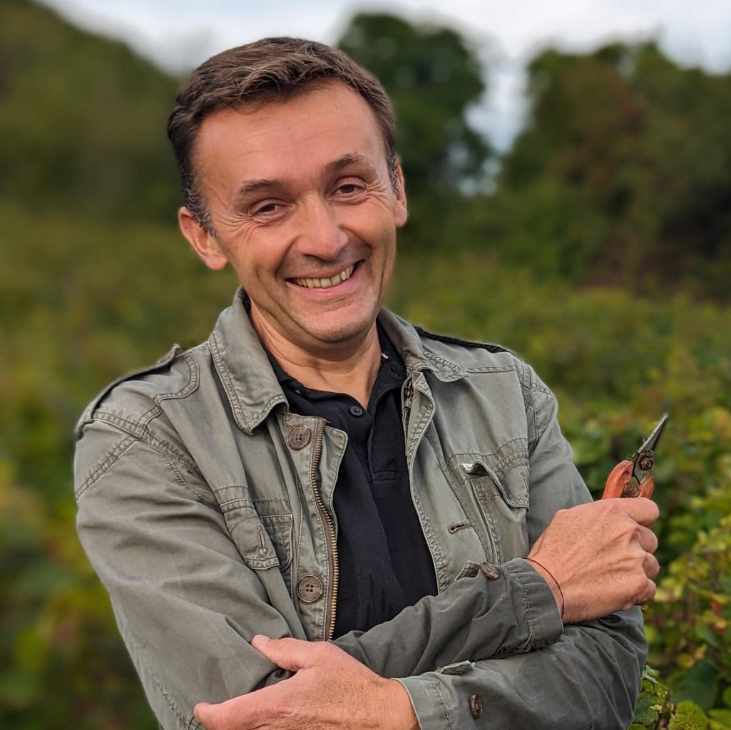 Pierre Vincent in his vines