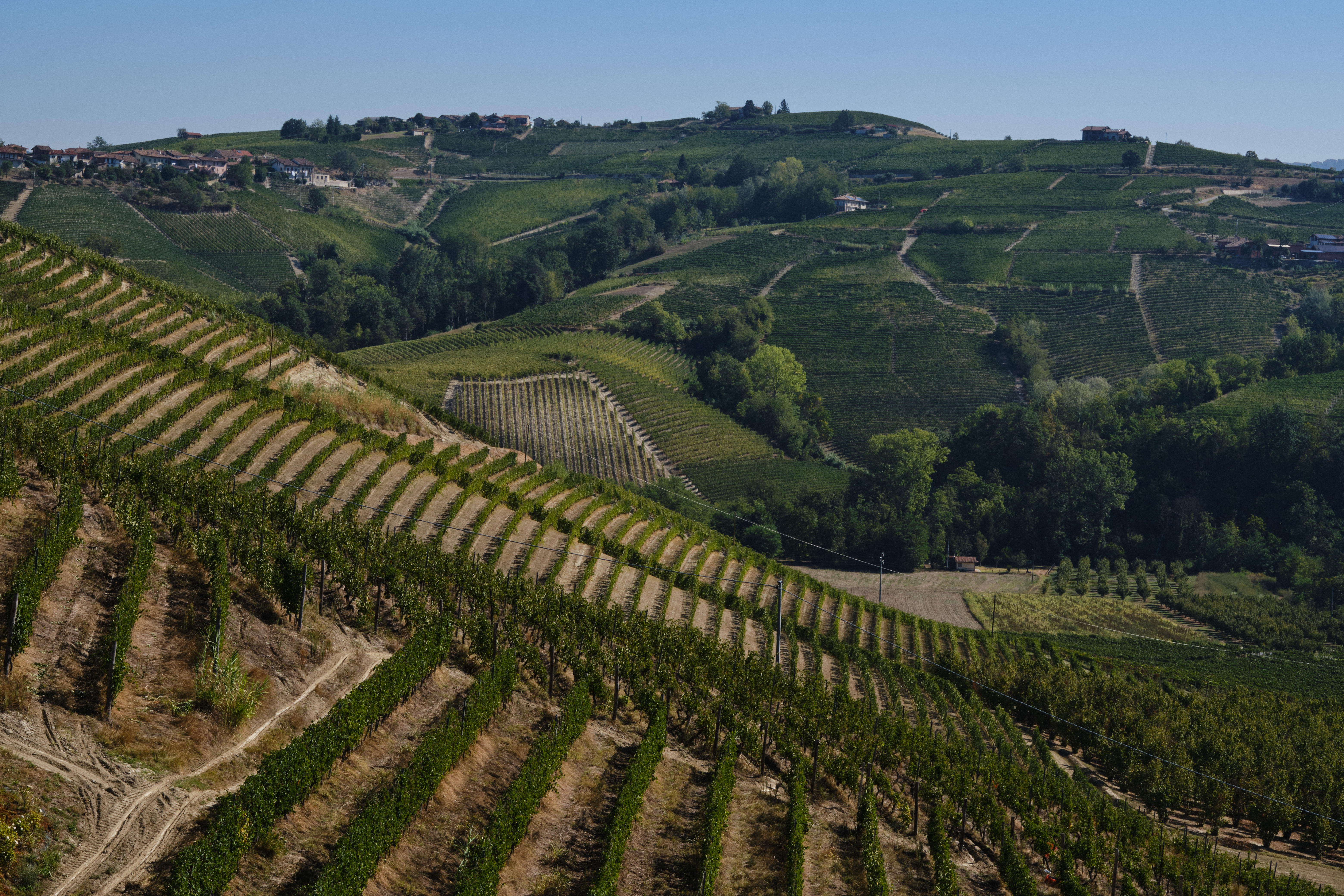 Pira-Vineyard_Roagna_Piedmont_Barolo_Italy-2022_Jason-Lowe