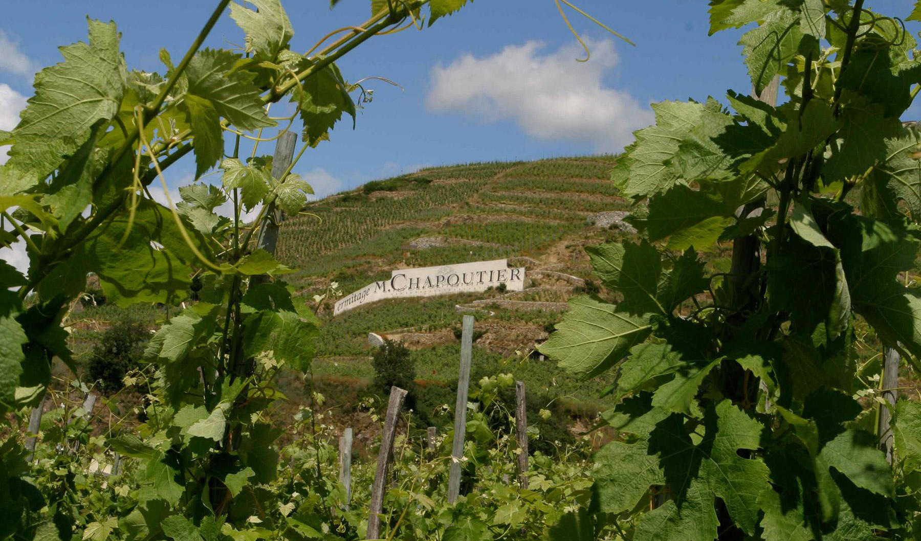 Region_Maison-Chapoutier_trio_01