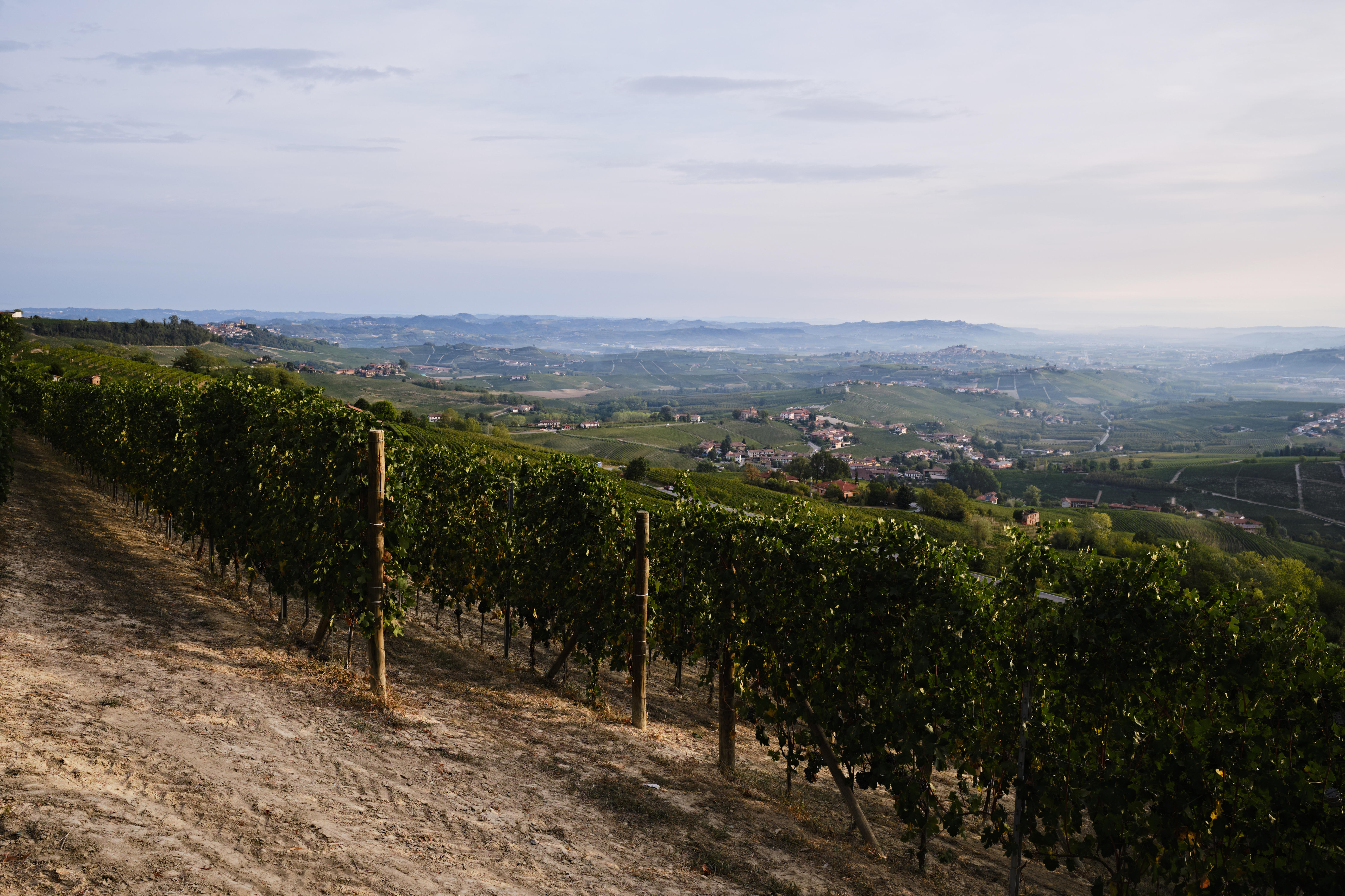 View-looking-east-from-La-Morra-4_Barolo_Italy-2022_Jason-Lowe_Hero_Barolo-2019