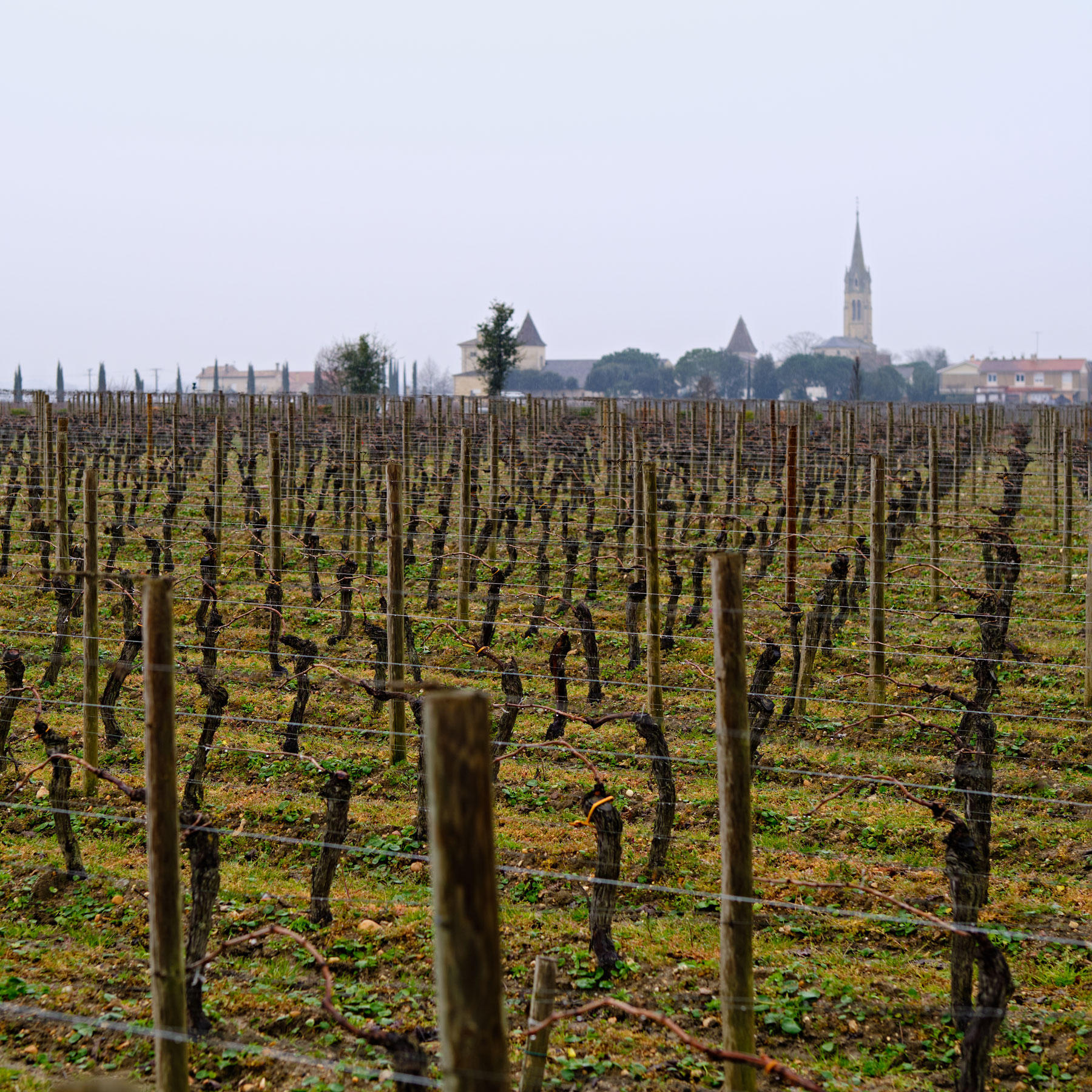 View-of-Pomerol-taken-from-Petrus-1-1_Bordeaux-2023_Jason-Lowe