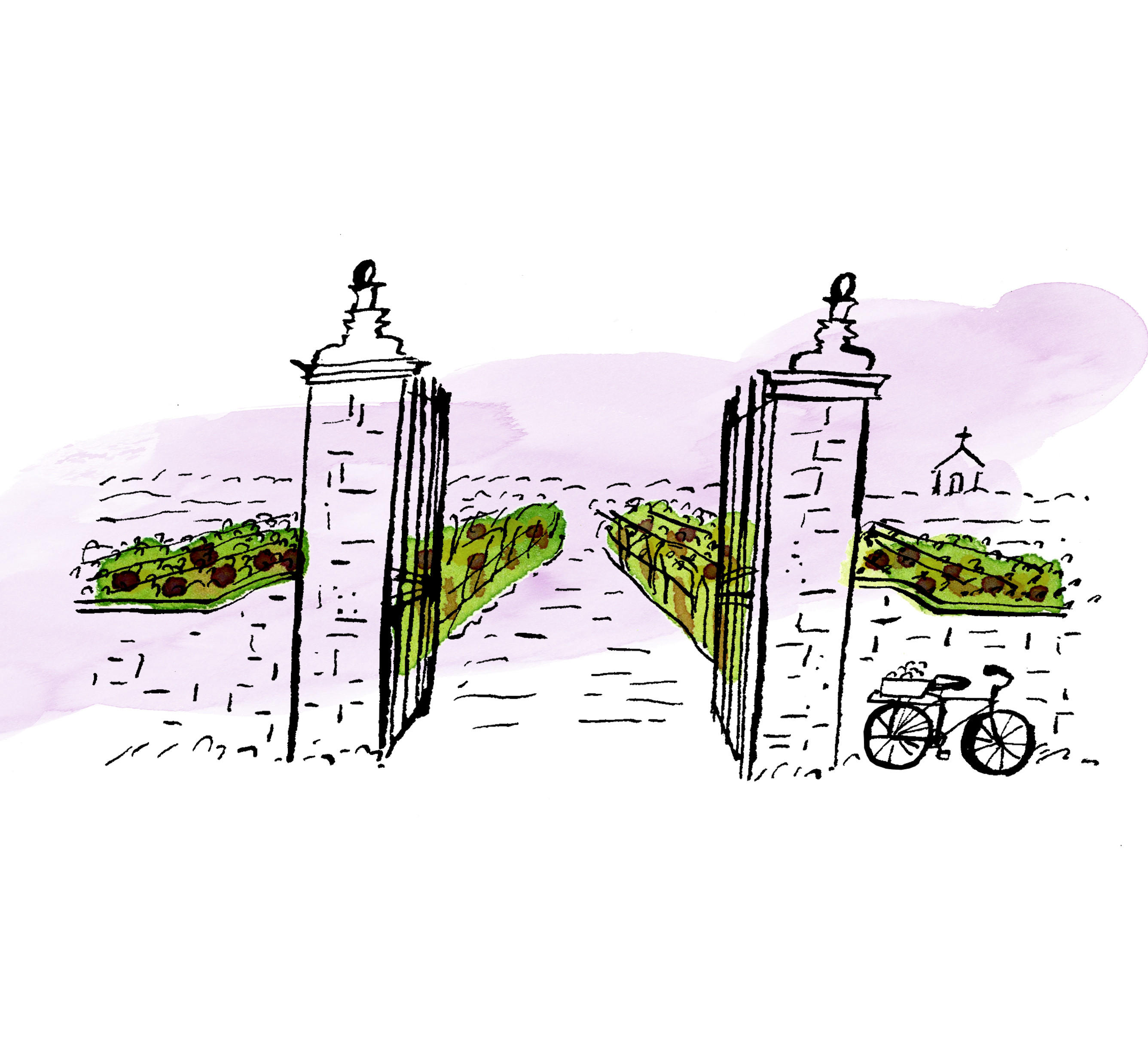 bordeaux-vintage-report-1-1